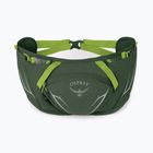 Borsetă Osprey Duro Dyna 2 l seaweed green/limon