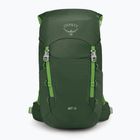 Rucsac turistic pentru copii  Osprey Jet 18 l green canopy/ limeline green