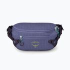 Borsetă Osprey Transporter Waist Pack 3 l euphoria