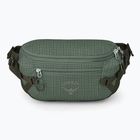 Borsetă Osprey Transporter Waist Pack 3 l pine leaf