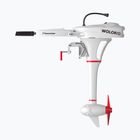 Motor electric Wolong Flowstar 1.5 Tiller Shortshaft with battery white