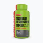 120 de capsule Nutrend Tribulus Terrestris Turbo capsules, verde, VR-046-120-xx