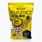 MIVARDI Rapid Boilies Easy Catch Scopex + Cream 3.3 kg bile proteice