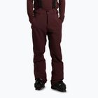 Pantaloni de snowboard pentru bărbați Protest PRTMikado pecanred