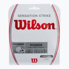 Wilson Sq Sensation Strike Strike 17 WRR943200+ coarde pentru racheta de squash