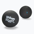 Minge de squash Wilson Staff Ball Blue Dot 12 buc. black