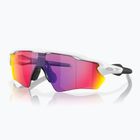 Ochelari de soare pentru copii Oakley Radar EV XS Path matte white/prizm road