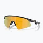 Ochelari de soare pentru copii Oakley Resistor Sweep polished matte black/prizm 24k