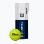 Mingi de tenis Wilson Triniti Pro 3 buc. yellow