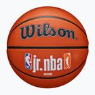 Minge de baschet Wilson NBA JR Fam Logo Authentic Outdoor brown mărime 6