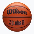 Minge de baschet Wilson NBA JR Drv Fam Logo brown mărime 6