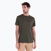 Tricou de trekking pentru bărbați icebreaker Merino 150 Tech Lite III loden
