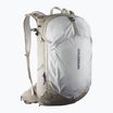 Rucsac turistic Salomon Trailblazer 30 l khaki/glacier gray