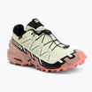 Încălțăminte de alergare pentru femei Salomon Speedcross 6 GTX lime cream/mahogany rose/black