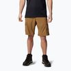 Pantaloni scurți de trekking pentru bărbați Columbia Silver Ridge Utility Cargo delta