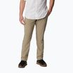 Pantaloni de trekking pentru bărbați Columbia Silver Ridge Utility maro 2012952221