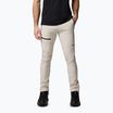 Pantaloni de trekking pentru bărbați Columbia Titan Pass Pant II dark stone