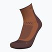 Șosete de trekking pentru bărbați Icebreaker Merino Hike+ Light Mini dusty clay/carob