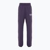 Pantaloni pentru femei Nike Sportswear Fleece dark raisin