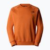Bluză pentru bărbați The North Face Raglan Box Nse Crew iron bronze/tnf black