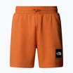 Pantaloni scurți de trekking pentru bărbați The North Face Box Nse Regular iron bronze/tnf bronze
