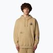 Hanorac The North Face Mountain Cleanup Over Hoodie khaki stone