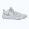 Încălțăminte Nike Zoom Hyperspeed Court SE smmit white/metalic silver/pure platinum