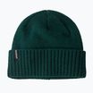 Căciulă de iarnă Patagonia Brodeo Beanie cascade green