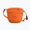 Borsetă Arc'teryx Mantis 2 2,5 l verve