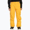 Pantaloni de snowboard pentru copii Quiksilver Estate pentru copii Tineret galben mineral