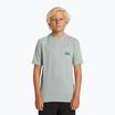 Quiksilver Everyday Surf Tee carieră tricou pentru copii carieră