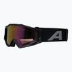 Ochelari de soare Alpina
