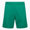 Pantaloni scurți de fotbal pentru copii Capelli Sport Cs One Adult Match verde/alb pentru copii