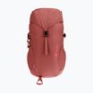 Rucsac de drumeție pentru copii Deuter Climber 22 l sequoia/hibiscus pentru copii