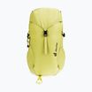 Rucsac de drumeție pentru copii Deuter Climber 22 l sprout/linden pentru copii
