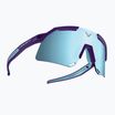 Ochelari de soare DYNAFIT Ultra Evo S3 mov regal/albastru marin