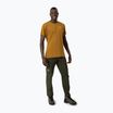 Pantaloni bărbătești softshell Salewa Puez DST Cargo green 00-0000028310