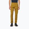 Pantaloni de trekking pentru bărbați Salewa Fanes Light golden brown