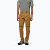 Pantaloni de trekking pentru bărbați Salewa Puez Hemp/Dst 2/1 golden brown