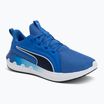 Încălțăminte de alergare  PUMA Softride Carson vivid blue/puma navy