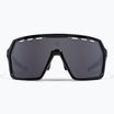 Ochelari de soare Endura Singletrack black/platinum revo smoke/clear silver flash mirror
