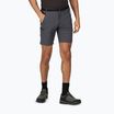 Pantaloni scurți de trekking pentru bărbați Regatta Xert Stretch III seal grey