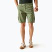 Pantaloni de trekking pentru bărbați REGATTA Ruwan fauna