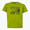 Tricou pentru copii REGATTA Alvarado IX grenoble green