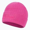 Căciulă de iarnă pentru bărbați Pitbull Beanie Silvas Angel pink