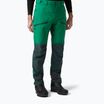 Pantaloni de trekking pentru bărbați Helly Hansen Verglas Tur 486 verde 63000