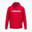 Hanorac pentru bărbați HEAD Club Original Hoodie red