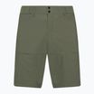 Pantaloni scurți de trekking pentru bărbați Peak Performance Iconiq Shorts pine needle