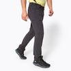 Pantaloni de trekking pentru bărbați MAMMUT Runbold gri 1022-01670