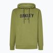Hanorac pentru bărbați Oakley PO Hoodie fern